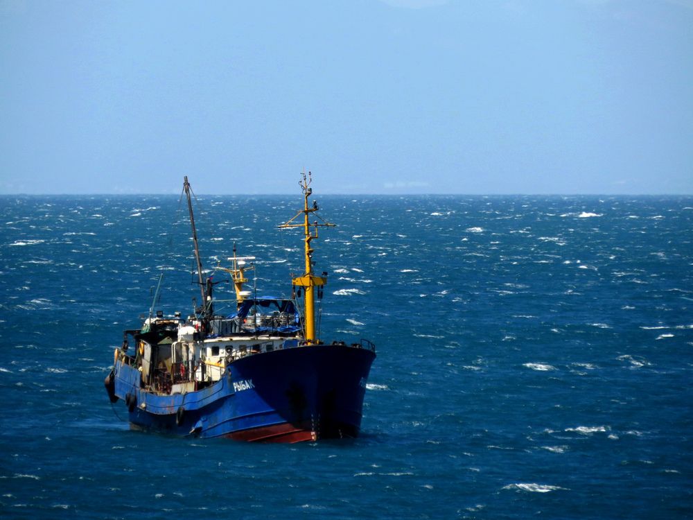 Photograph by Татьяна Стаскевич