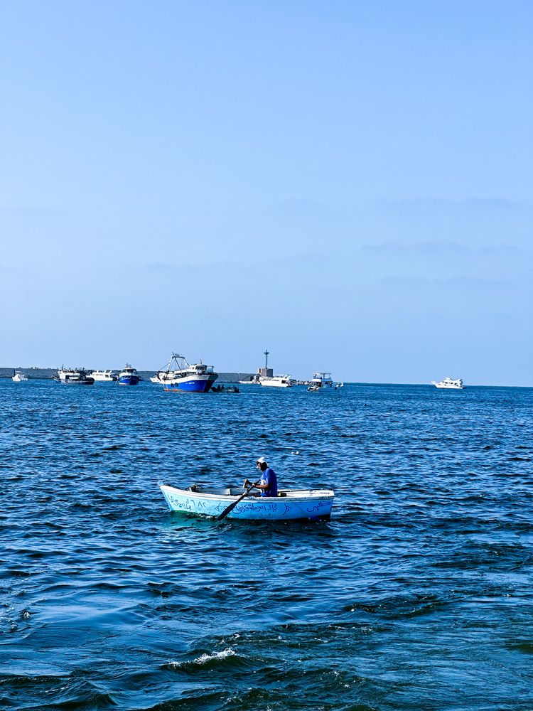 Фотография автора Sara Ali