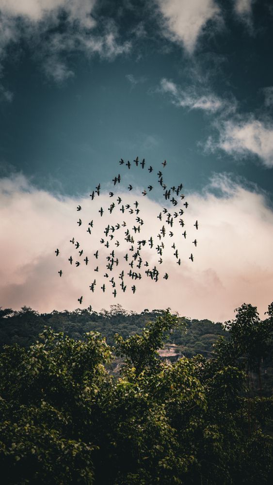 Photograph by Артем Гайсин