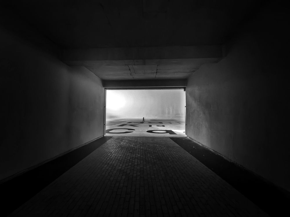 Photograph by Кривенко Владимир