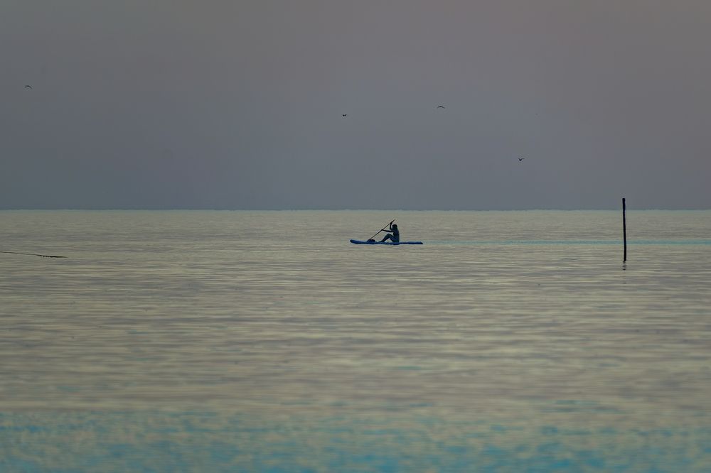 Photograph by Михаил Косолапов