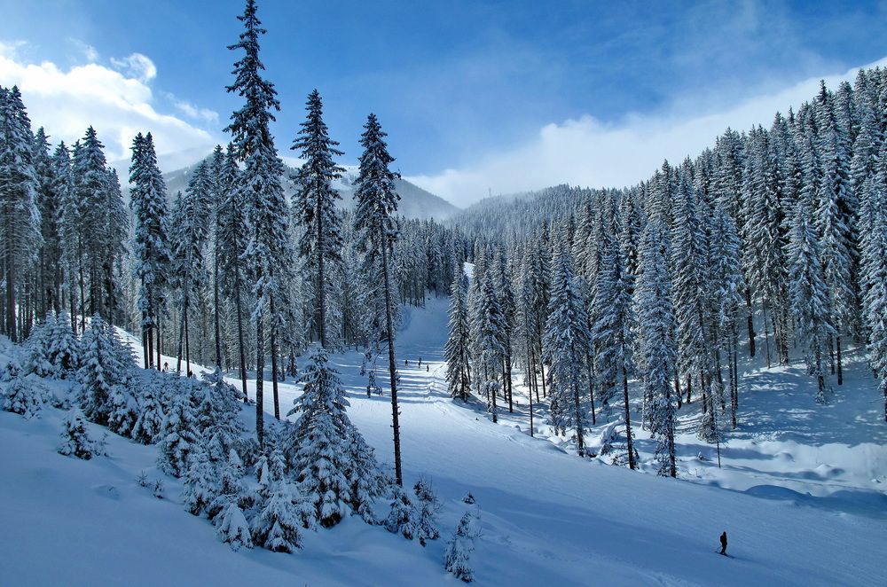 Photograph by Волынский Виктор