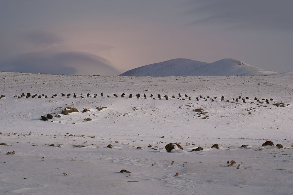 Фотография автора Alex Belov