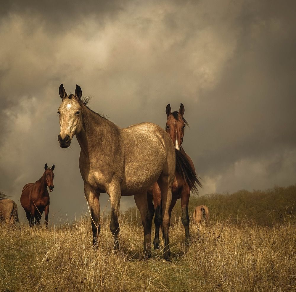Photograph by Юлия Воронова