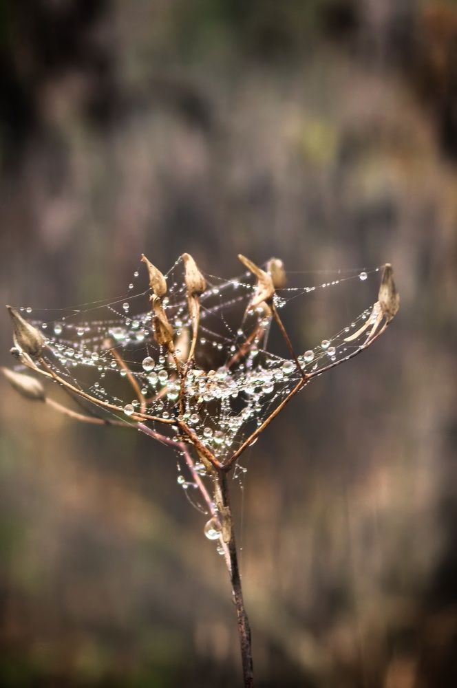 Photograph by Кривенко Владимир