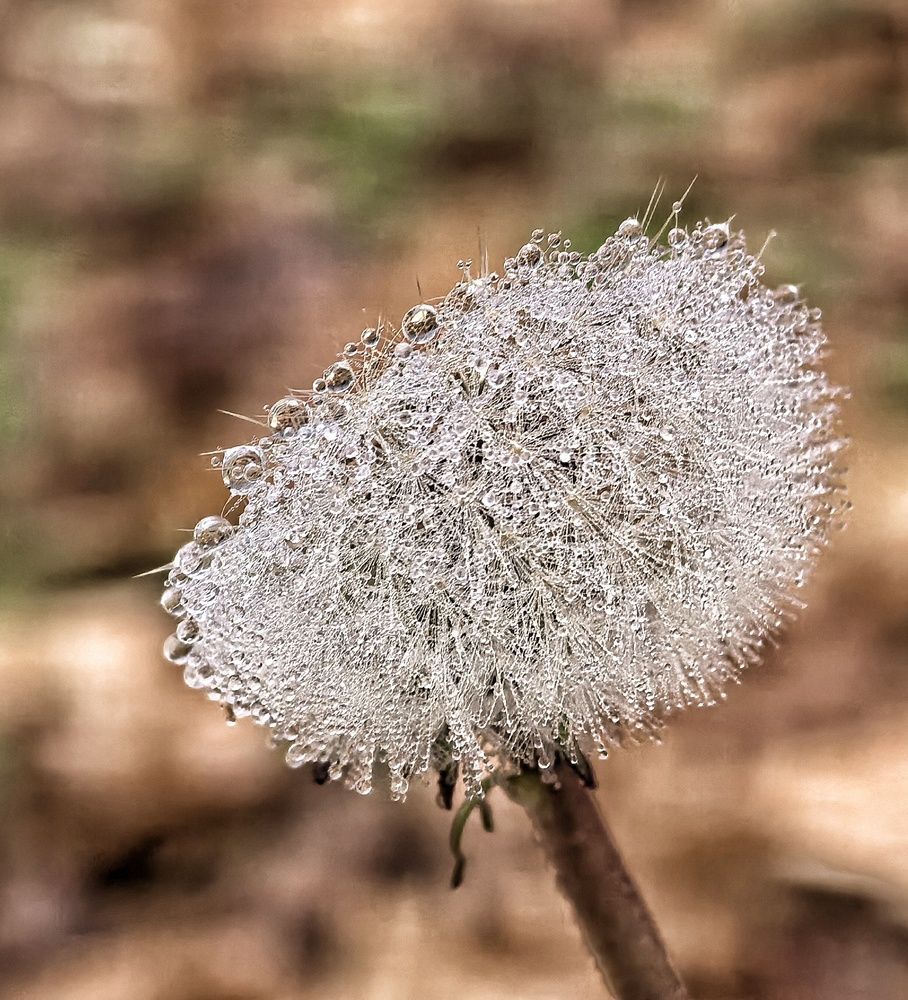 Photograph by Кривенко Владимир