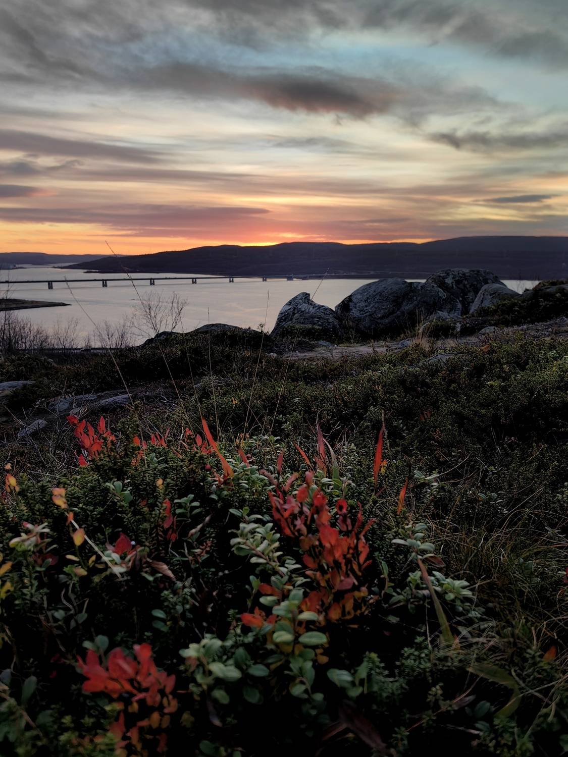 Фотография #12898666