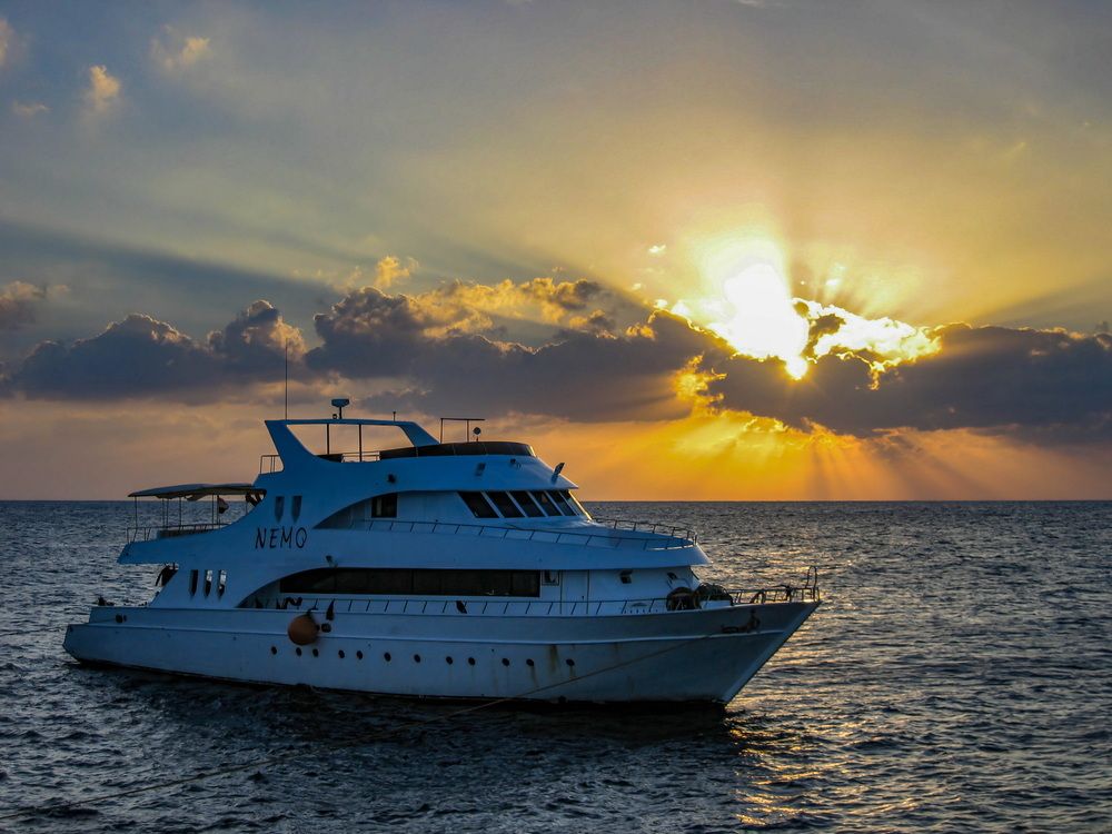 Photograph by Волынский Виктор