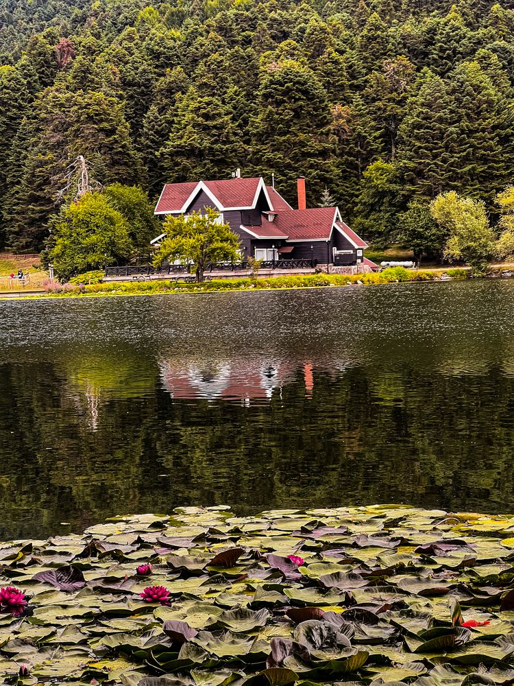 Фотография автора Mustafa Akseli