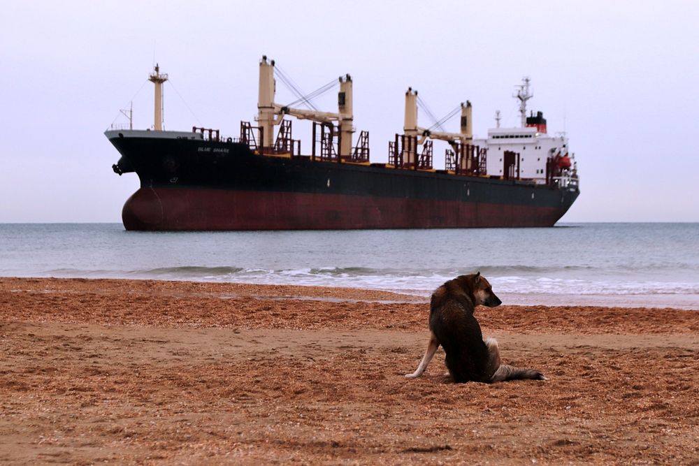 Photograph by Андрей Хомутов