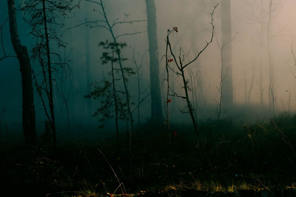 Photograph by Марина Широкова
