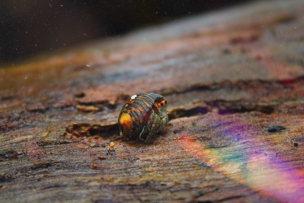 Between cracks and Light