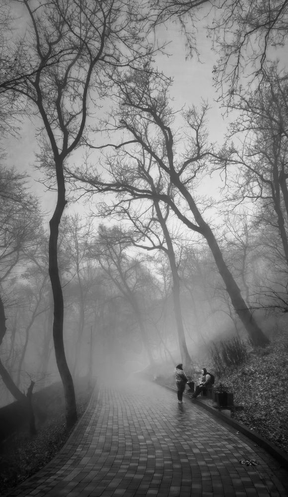 Photograph by Кривенко Владимир