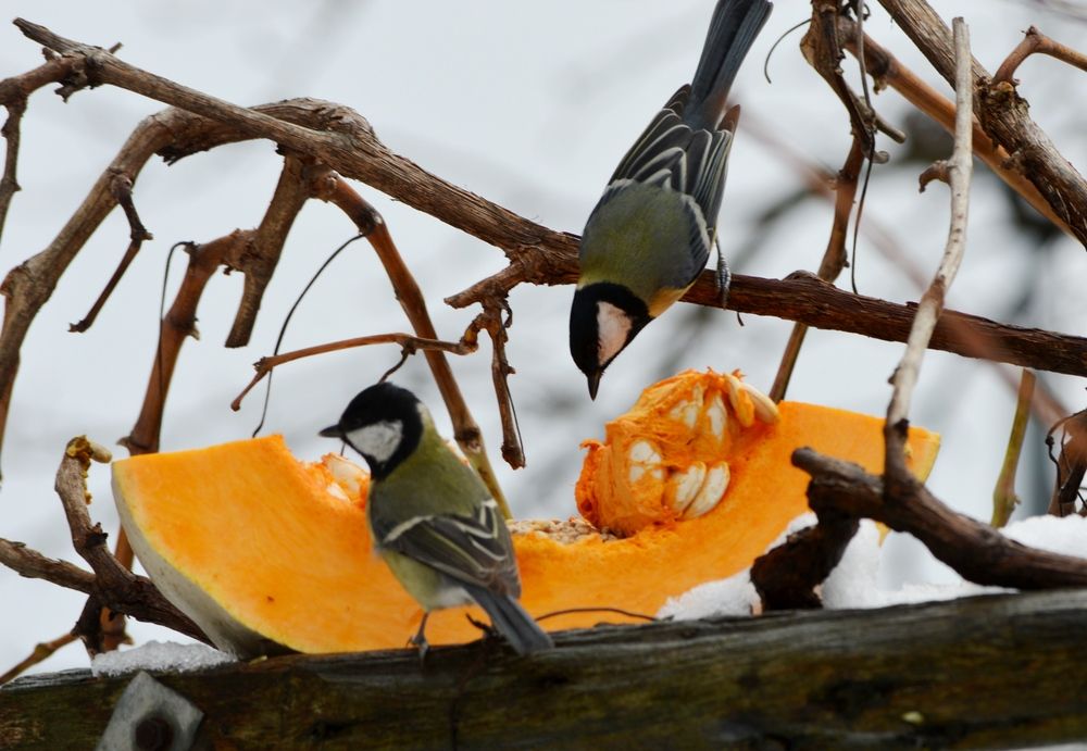 Photograph by Olja Simovic