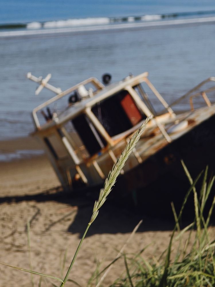 Фотография автора Наташа Данилова