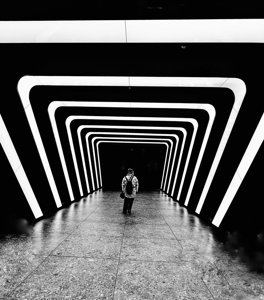 Photograph by Hamidreza zakeri