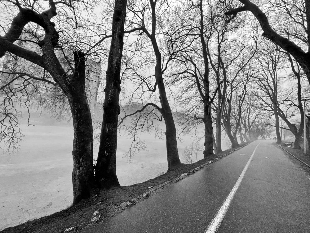 Photograph by Виктория Уварова