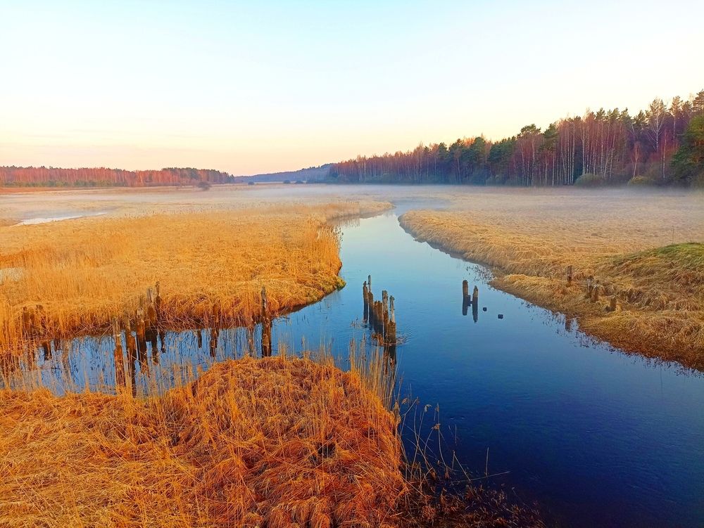 Photograph by Nikolas