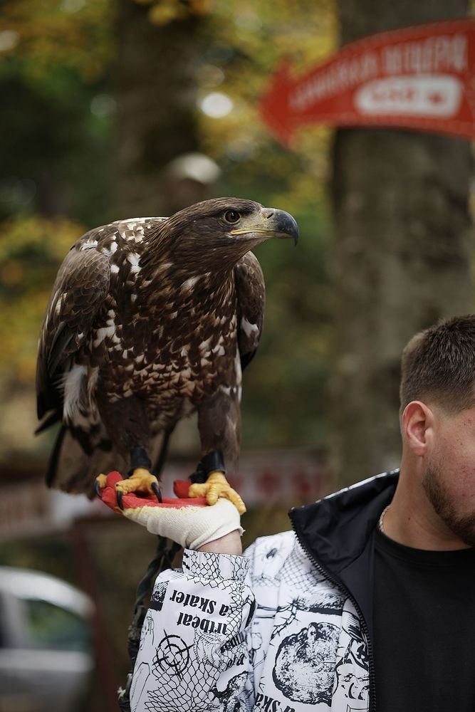Photograph by Полина Сульженко