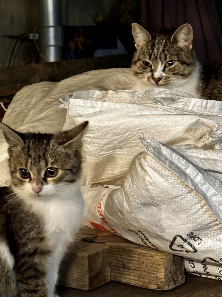 Photograph by Sergei