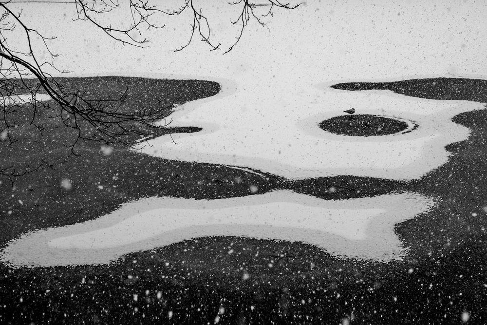 Photograph by Юлия Залалова