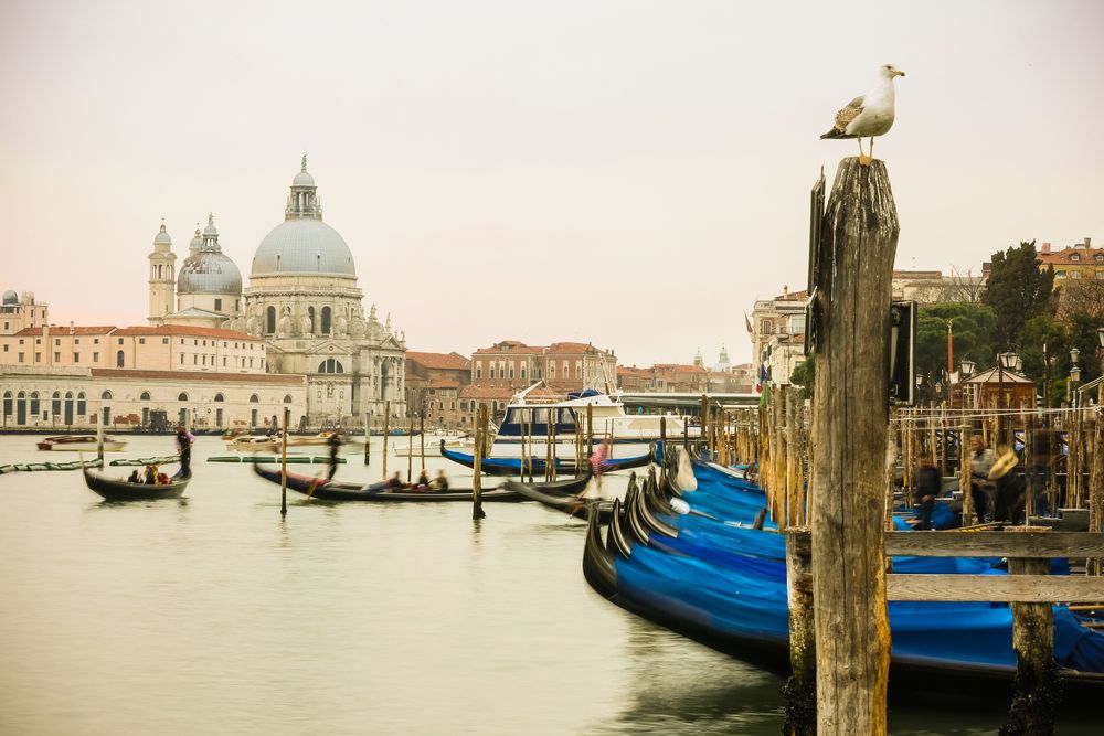 Photograph by Павел