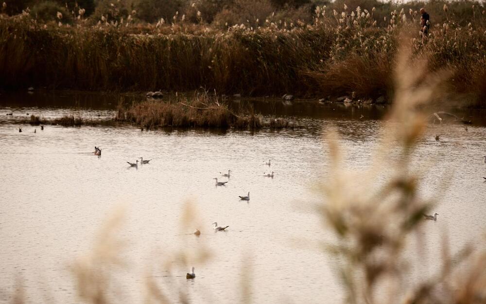 Photograph by יפעת ברונשטיין כהן