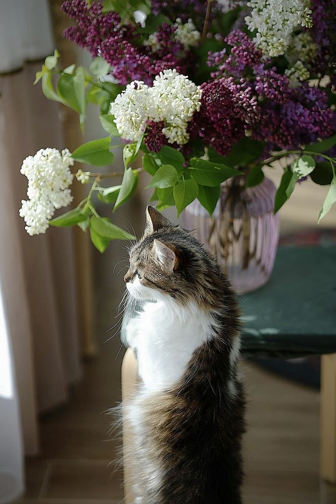 Photograph by Полина Сульженко