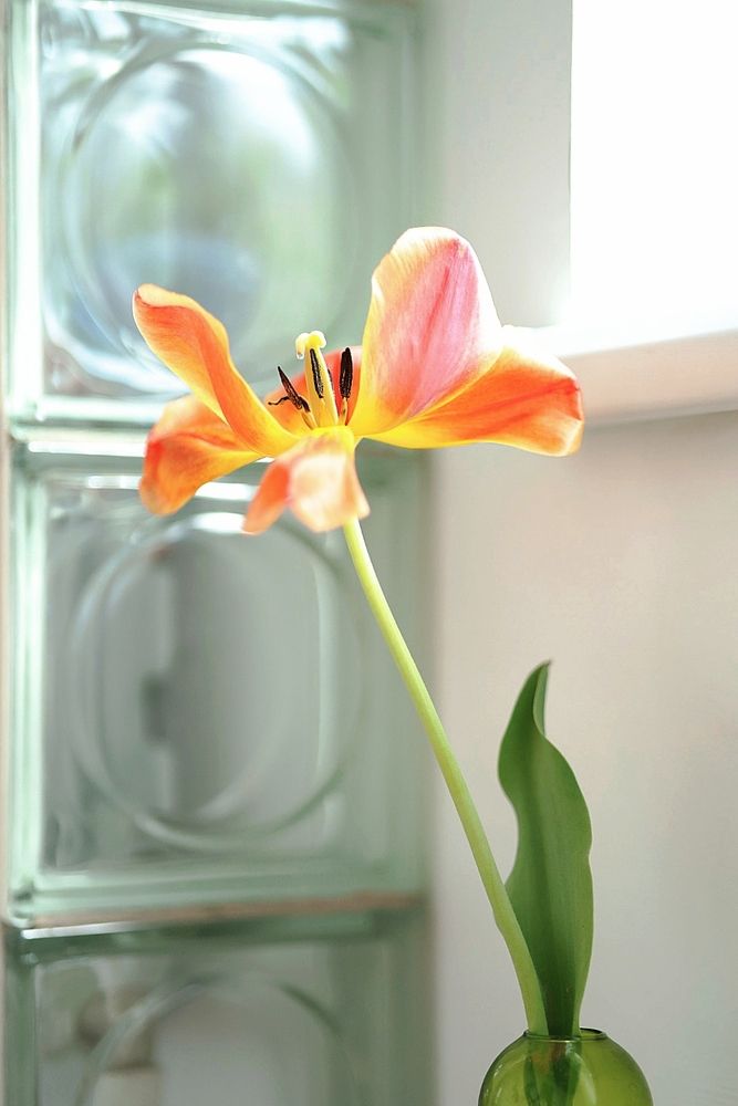 Photograph by Полина Сульженко