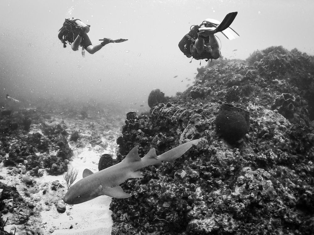 Photograph by Andy O Nales Flores