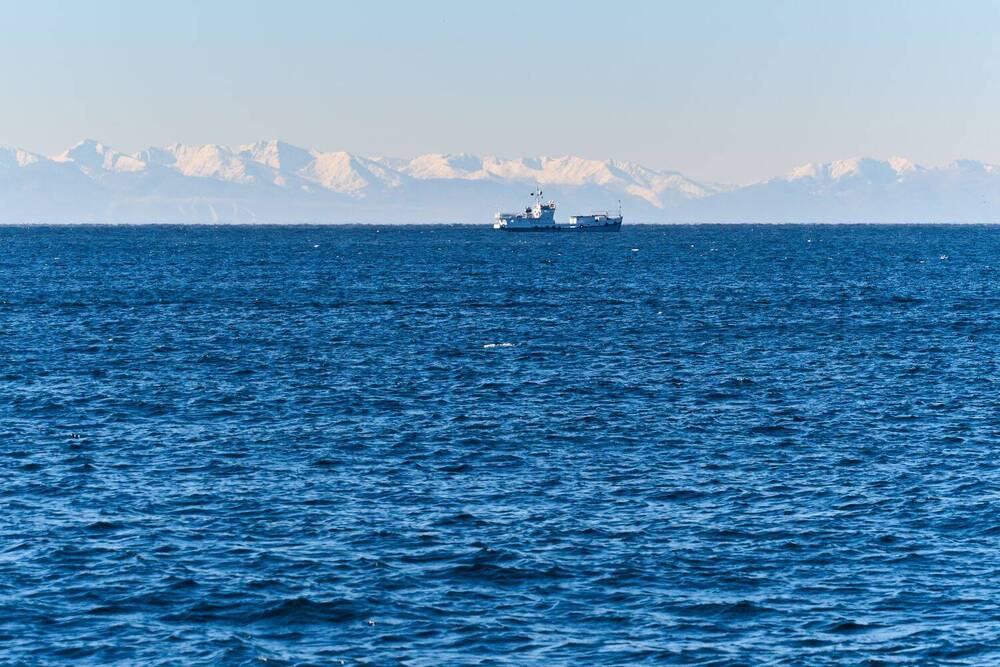 Photograph by Косицына Геля