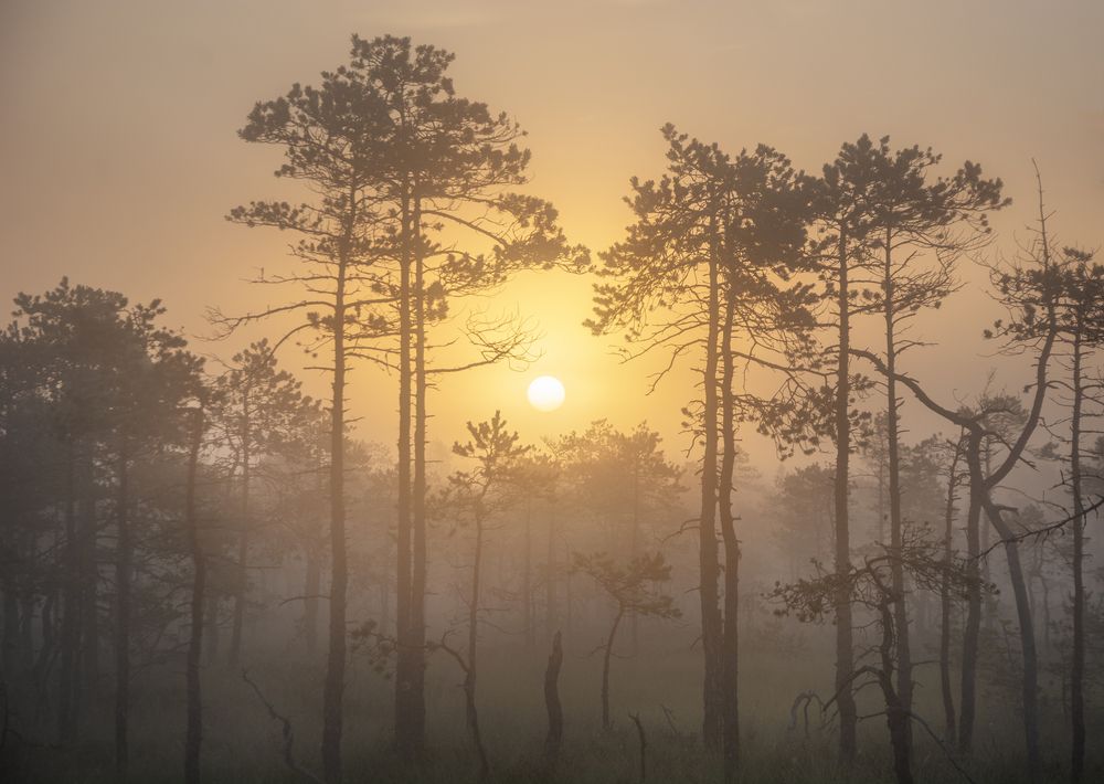 Photograph by Ivan Glinskiy