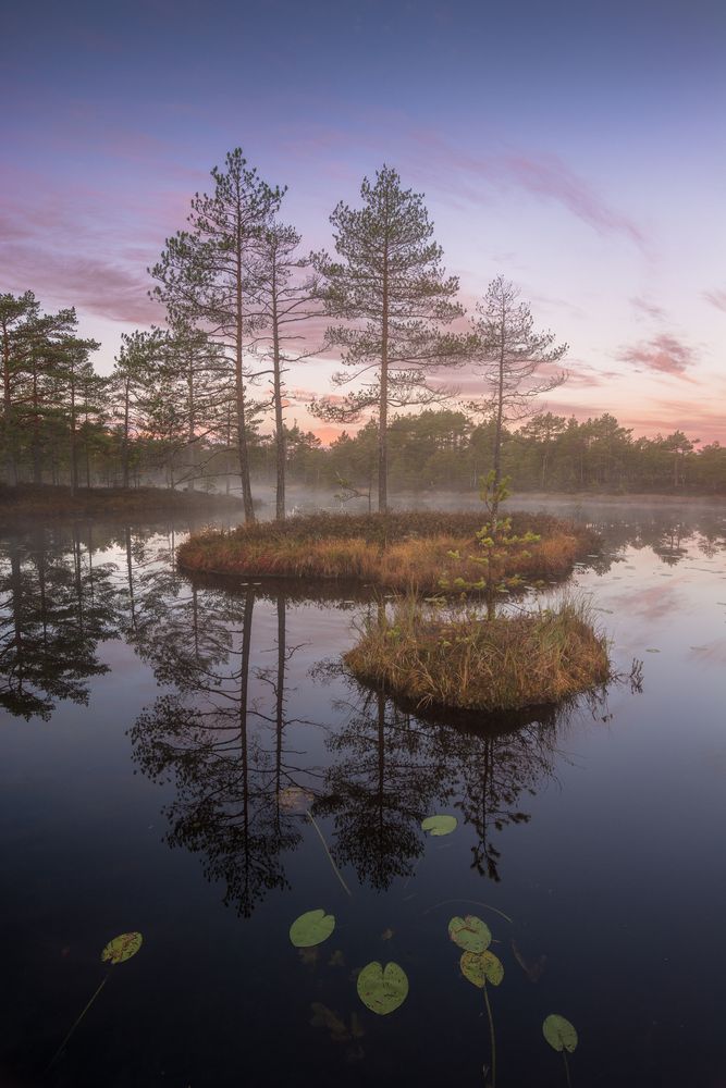 Photograph by Ivan Glinskiy