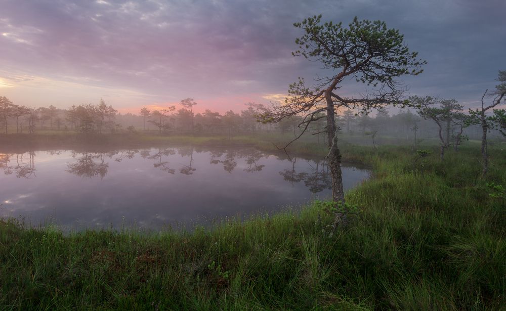 Photograph by Ivan Glinskiy
