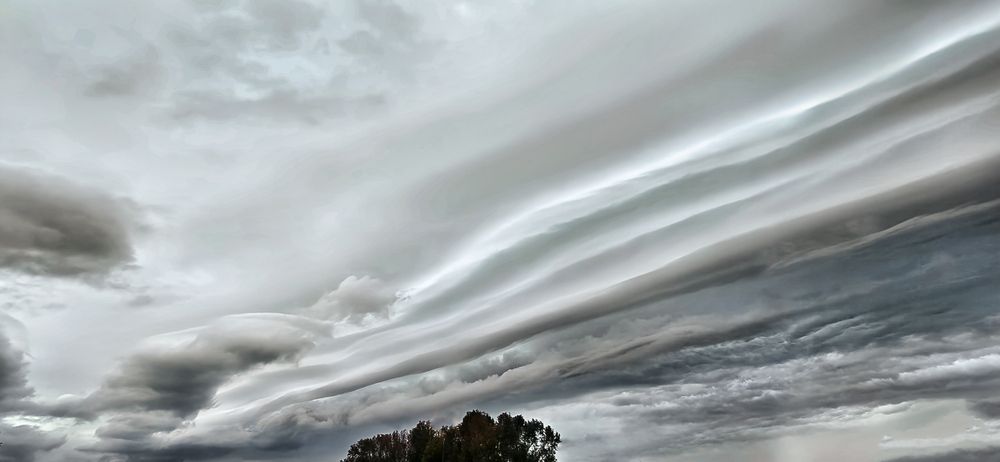 Shelf Type Arcus Cloud
