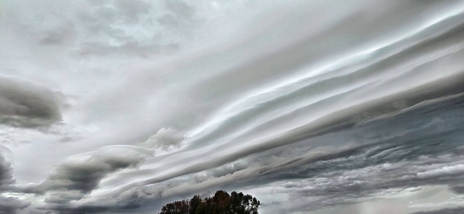 Shelf Type Arcus Cloud