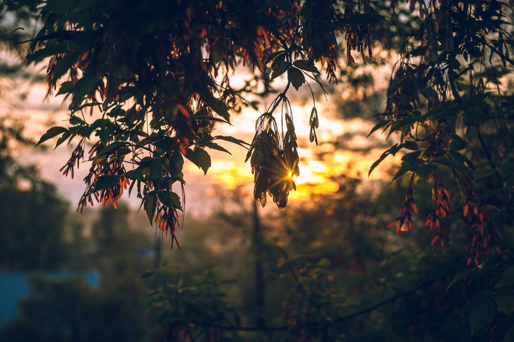 Закат в городе Талгар