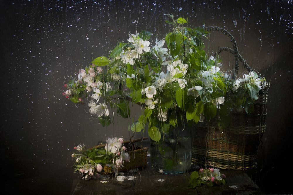 Я знаю о том, что будет потом, после дождя