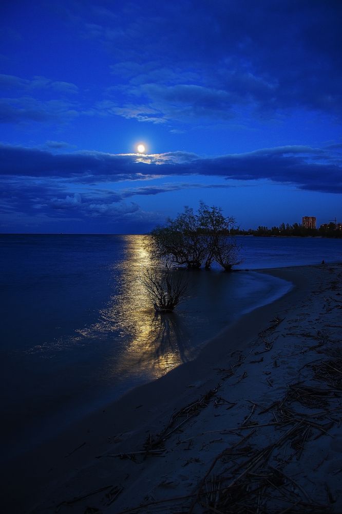 Лунная соната