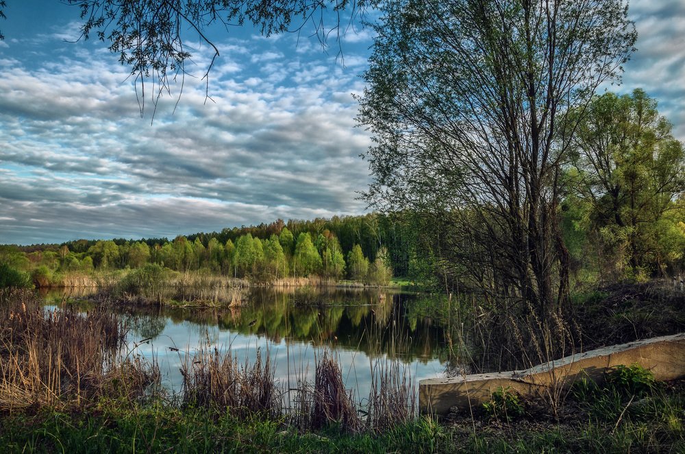 У вечернего озера.