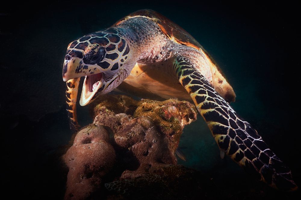 Photograph by Vadim Dyskin