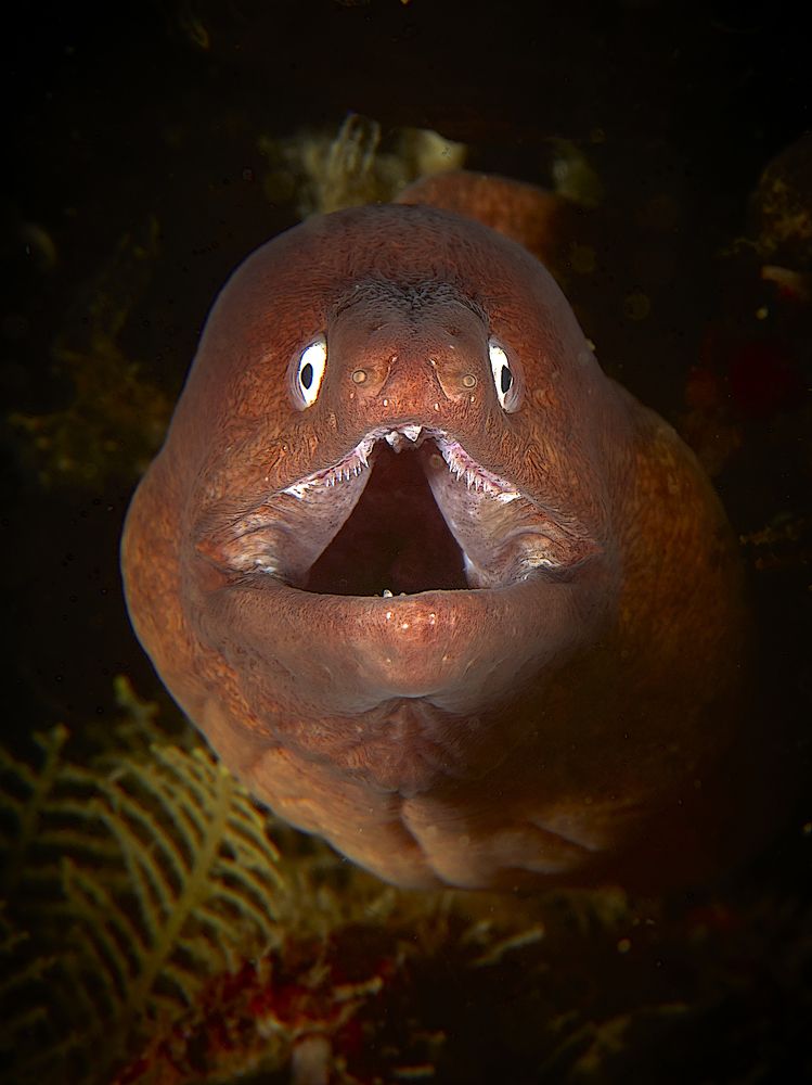 Photograph by Vadim Dyskin