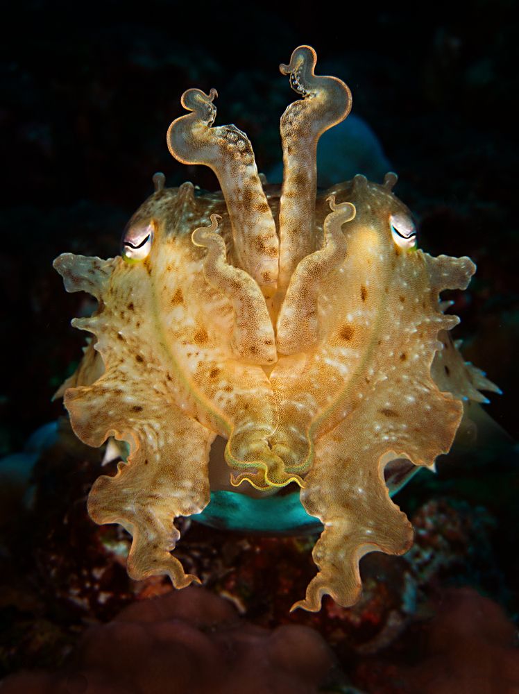 Photograph by Vadim Dyskin