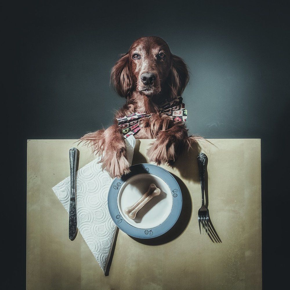 Бизнес ланч \ Business lunch