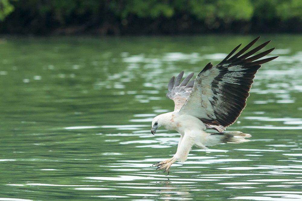 Photograph by Anna Markova