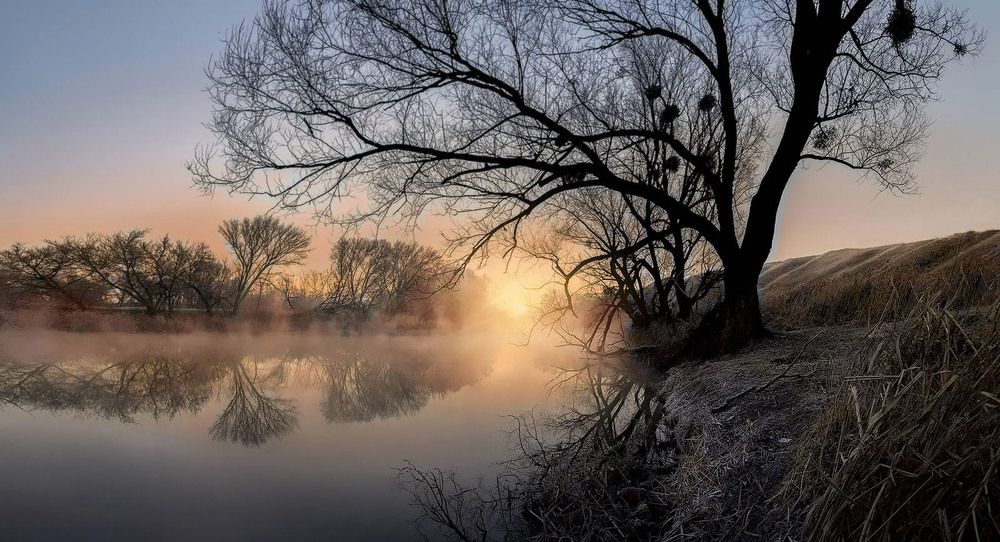 Донецкое городище