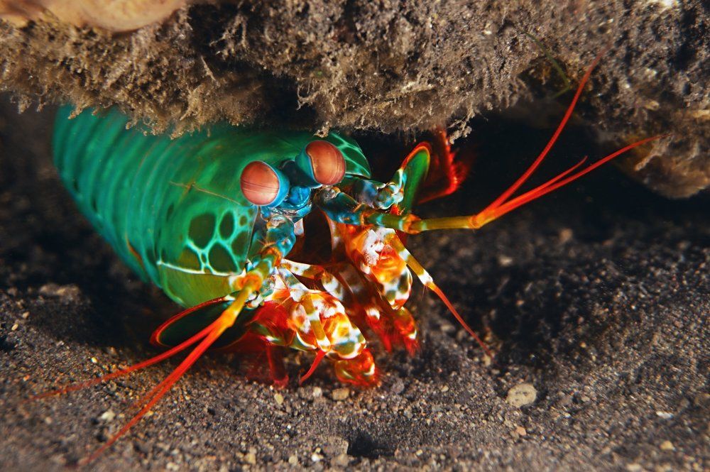 Photograph by Vadim Dyskin