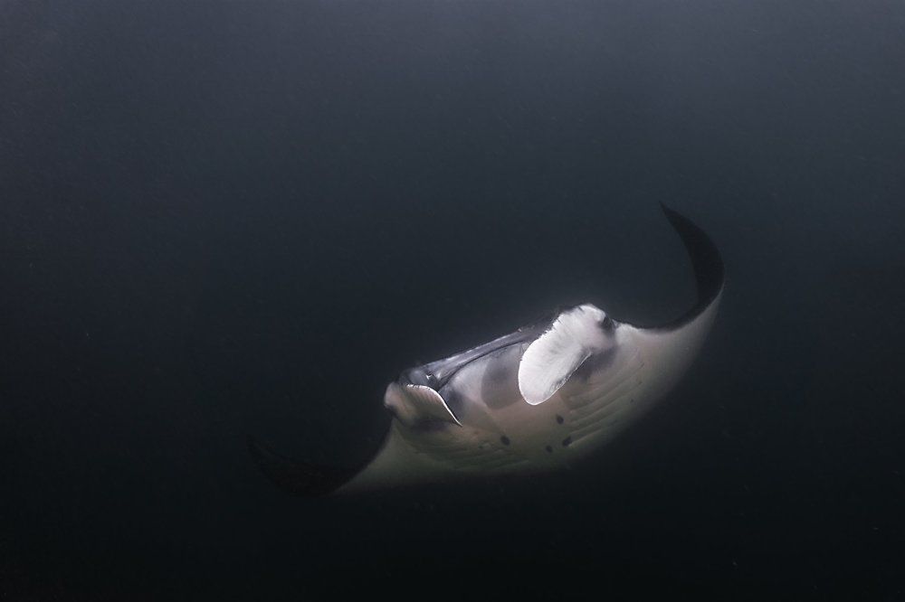 Photograph by Vadim Dyskin