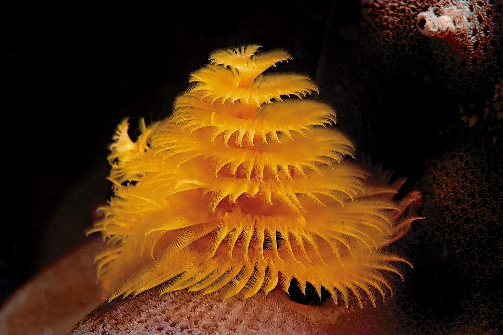 Photograph by Vadim Dyskin