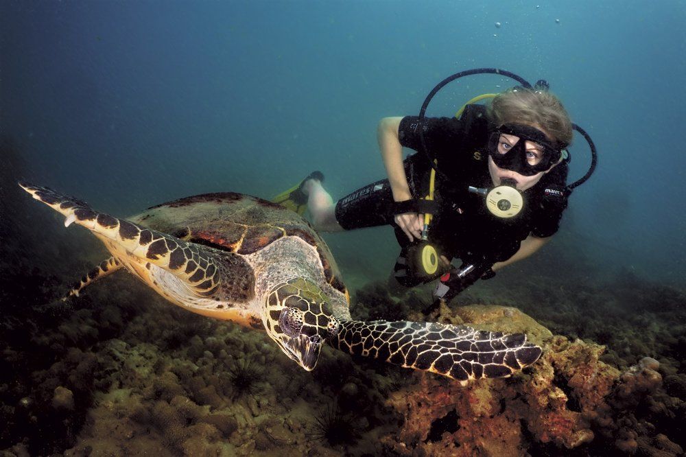 Photograph by Vadim Dyskin